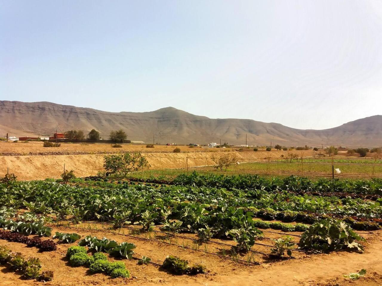 فيلا Rural Rugama بويرتو ديل روزاريو المظهر الخارجي الصورة