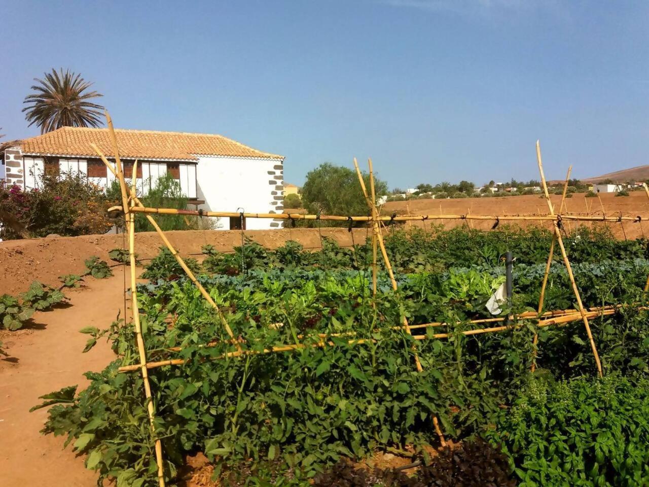 فيلا Rural Rugama بويرتو ديل روزاريو المظهر الخارجي الصورة