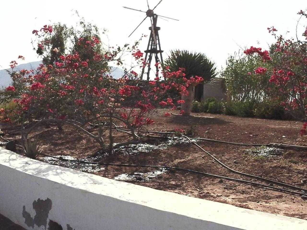 فيلا Rural Rugama بويرتو ديل روزاريو المظهر الخارجي الصورة