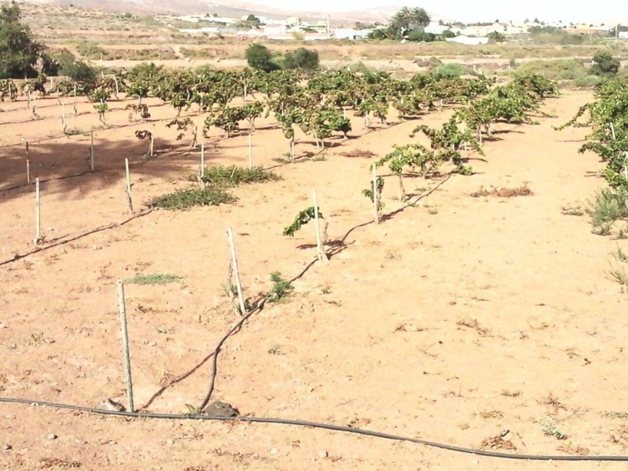 فيلا Rural Rugama بويرتو ديل روزاريو المظهر الخارجي الصورة